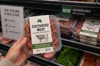 Lab-Grown Meat Is Already For Sale in Australia — Here's What's Actually Happening