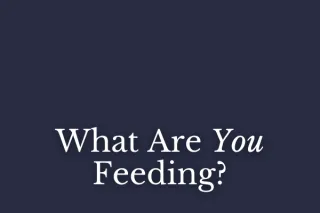 What Are You Feeding?