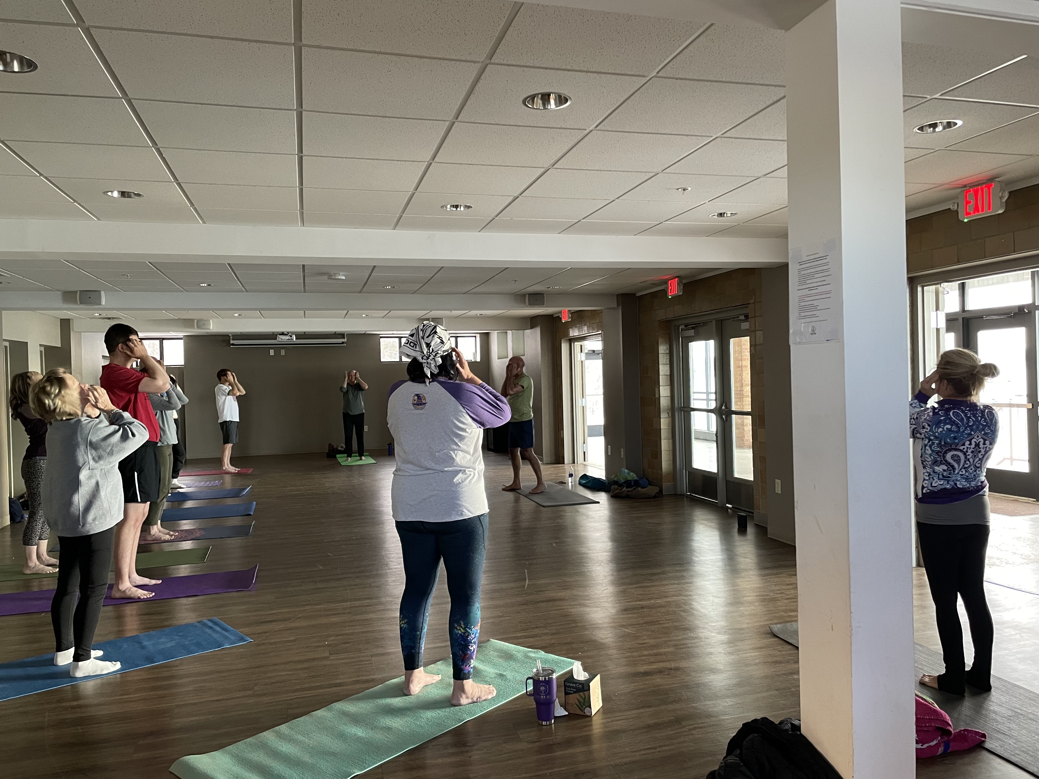 Virtual Group Tapping/Emotional Freedom Technique 