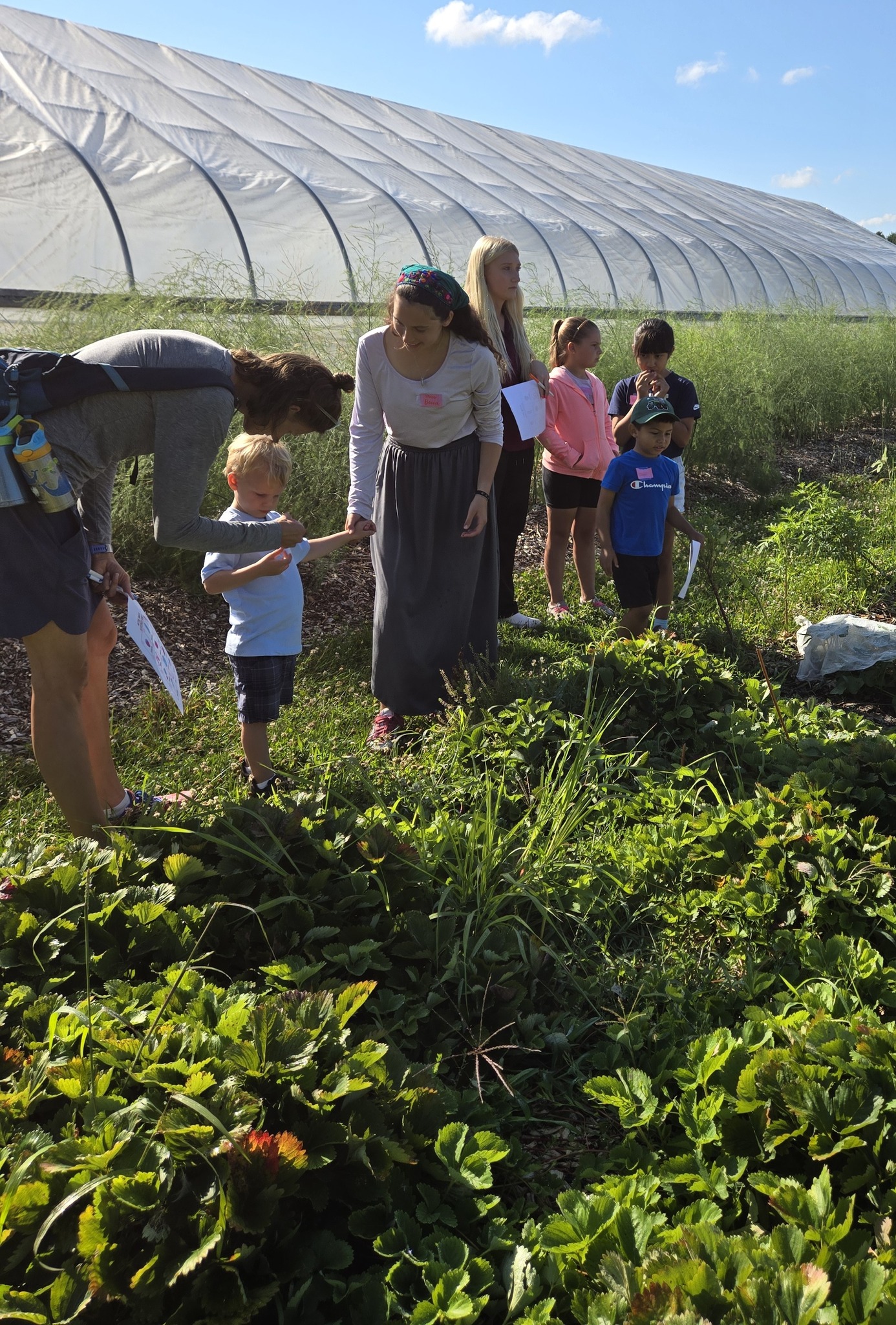 Camp Veggie Registration Is Open!