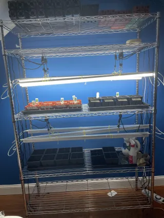 Our Garden Is Our Pharmacy!