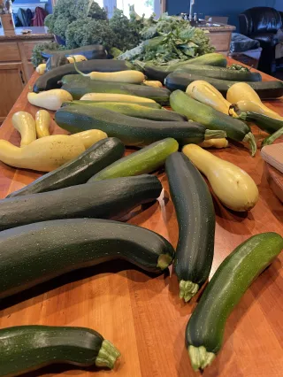 Ideas For Your Zucchini, Yellow Squash, Basil, Kale