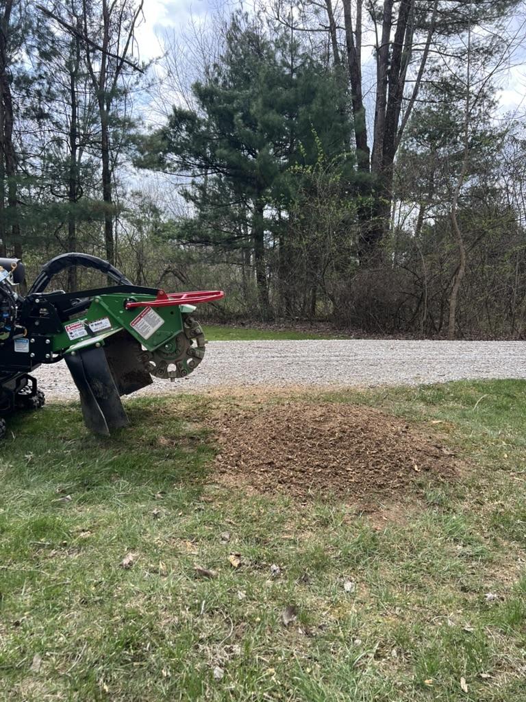 How Does Access Impact Stump Grinding Pricing?