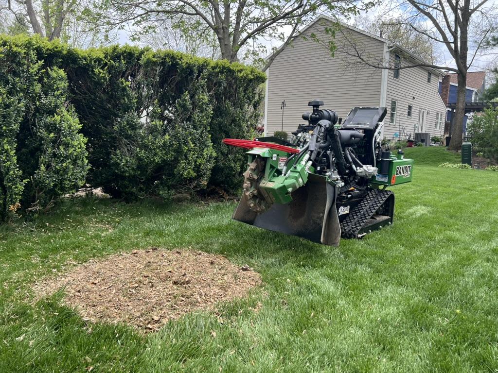 Do You Need to Remove Mulch After Stump Grinding?