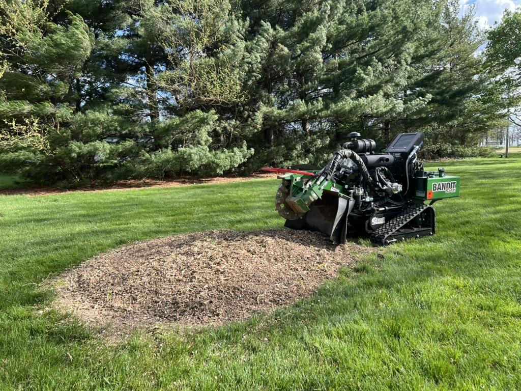 When Does Surface Root Grinding Add to Project Cost?