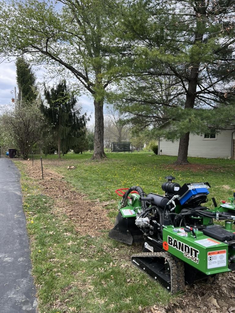 When Is Surface Root Grinding Actually Necessary?