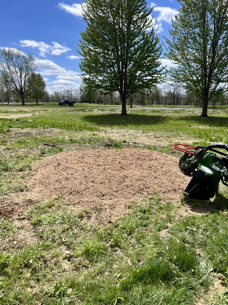 Do Multiple Stumps Lower the Cost Per Stump?