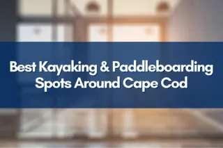 Discover the Best Kayaking and Paddleboarding Spots Around Cape Cod