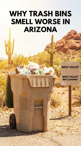 Why Trash Bins Smell Worse in Arizona | West Valley Bin Cleaning