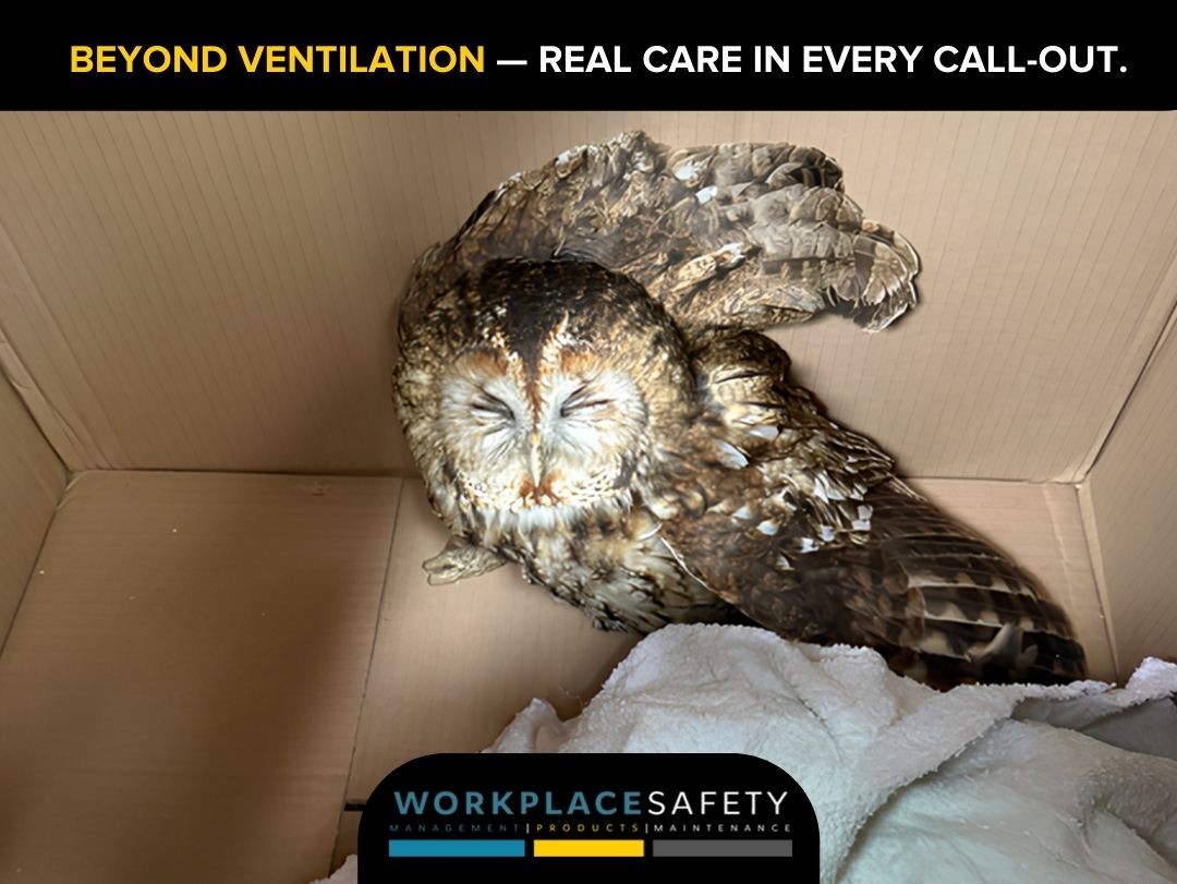 Emergency LEV Call-Out Rescue by Workplace Safety Team