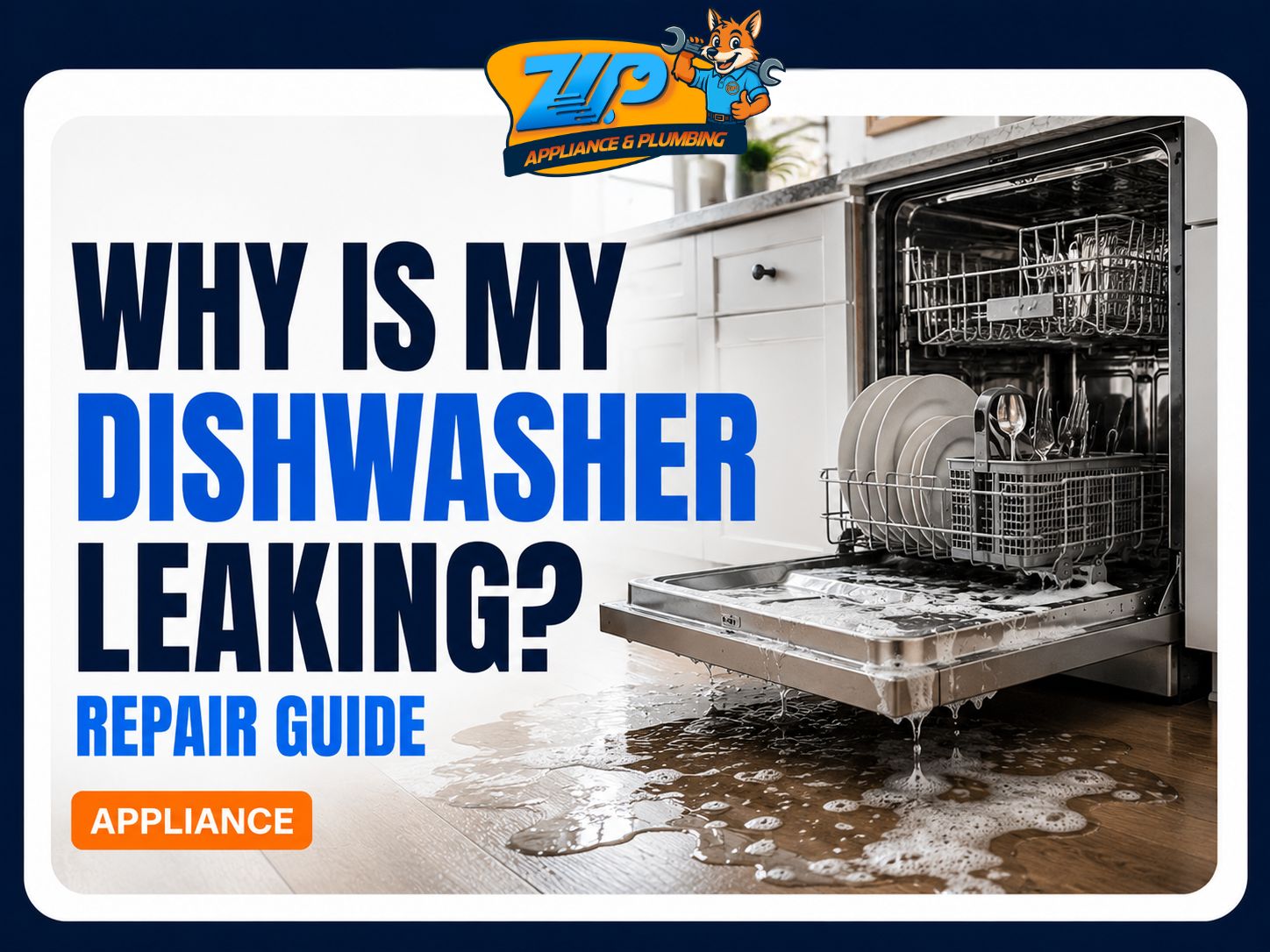 Why Is My Dishwasher Leaking? Repair Guide