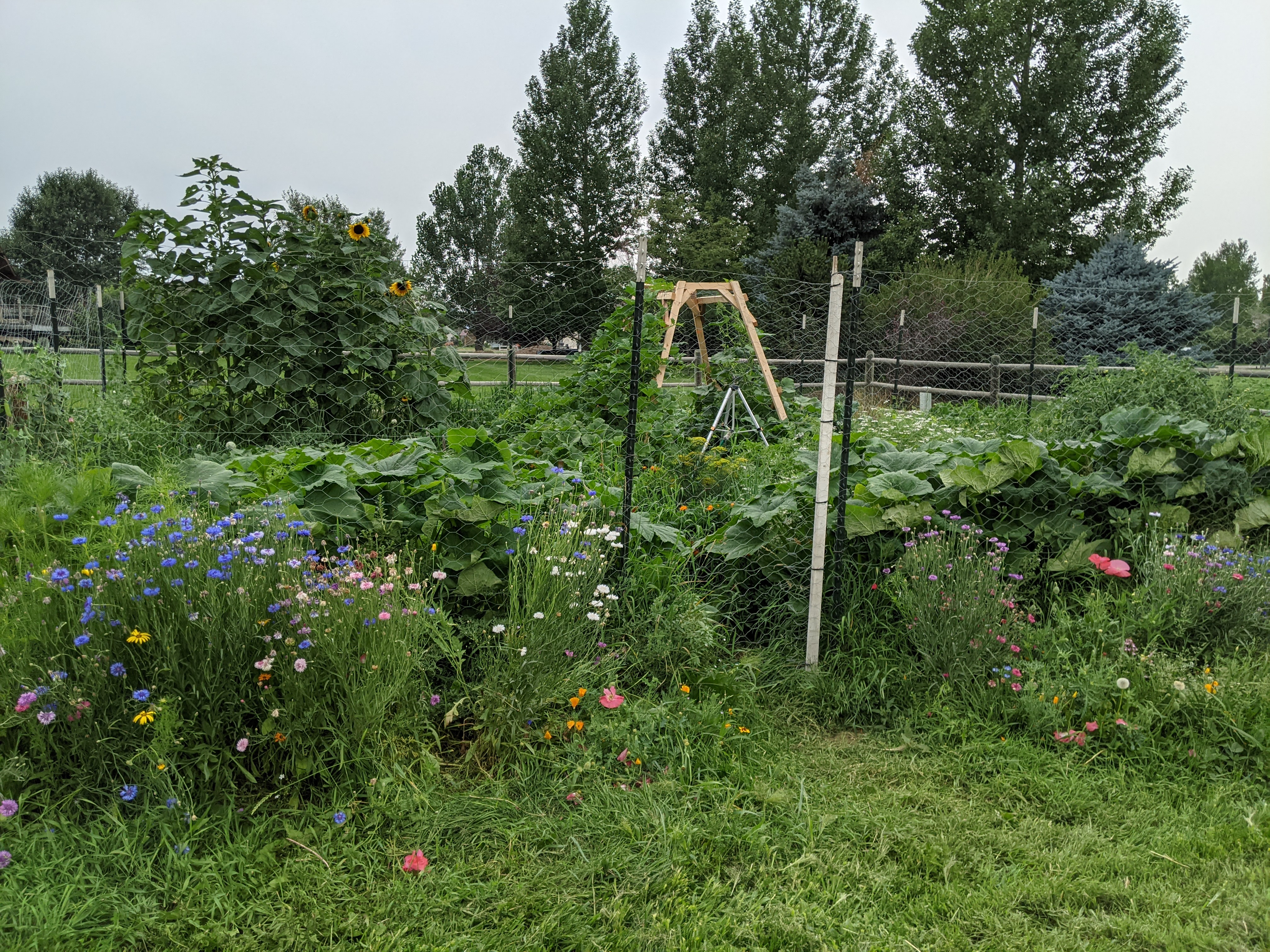 How the garden will work - a cooperative model