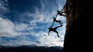 Trust Training