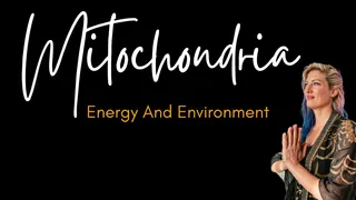 Mitochondria, energy, environment.