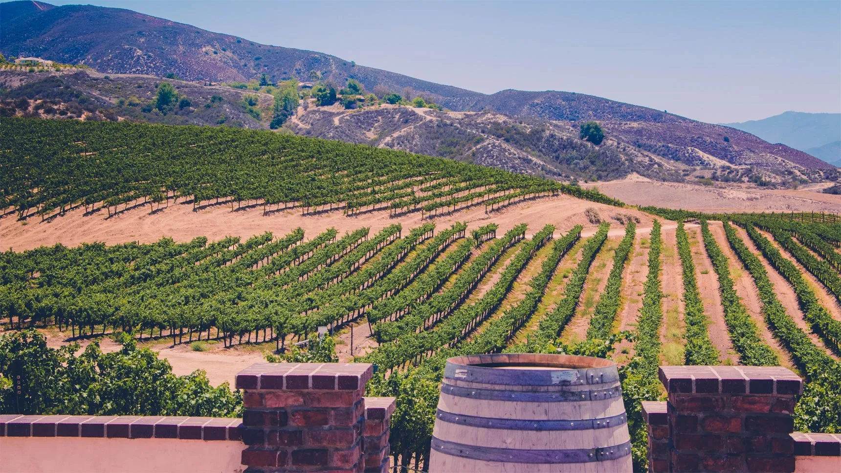 🍷 Sip, Savor & Soak It In at Temecula Valley Wine Country – Temecula, CA