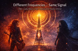 The Signal (continued)