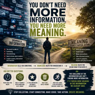 You Don't Need More Information. You Need More Meaning.
