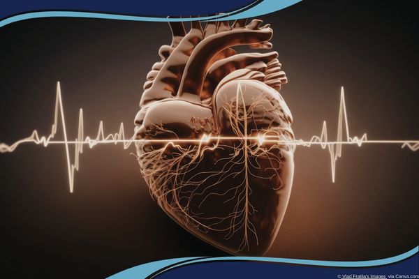 Why Your Corporate Desk Job Is Officially On Life Support