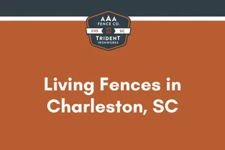 Living Fences in Charleston: A Built Fence Designed to Grow Green