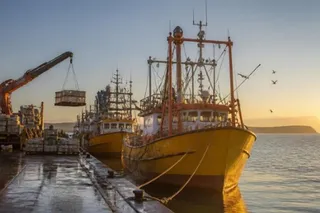 Puerto Madryn desembarcó 59% más que el año pasado y Rawson cayó 8%