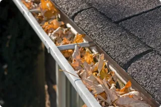Gutter Cleaning Cost Guide 2025 - Florida