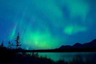 Set Sail to The Last Frontier: Your Ultimate Guide to Cruising in Alaska