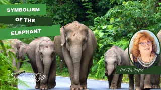 Symbolism of Elephant