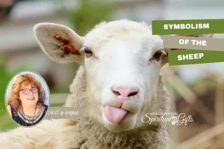 Spirit Animal Sheep Meaning: Peace, Trust, and Spiritual Guidance