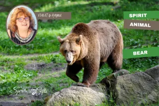 Spirit Animal Bear Meaning: Strength, Grounding, and Inner Wisdom