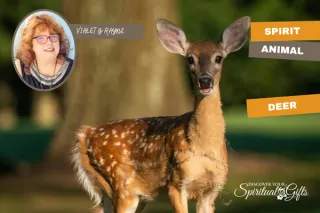 Spirit Animal Deer Meaning: Intuition, Gentleness, and Heart Wisdom
