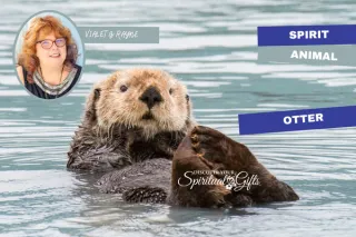 Otter Spirit Animal: Playfulness, Creativity & Emotional Flow