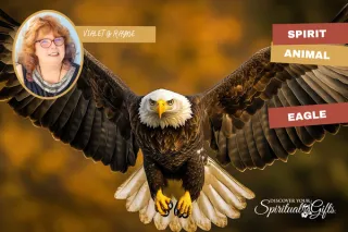 Eagle Spirit Animal: Vision, Expansion & Higher Perspective