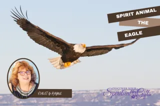 Spirit Animal Eagle: Vision, Higher Perspective & Spiritual Leadership