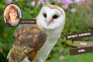 Spirit Animal Owl: Intuition, Mystery & Seeing Beyond Illusion