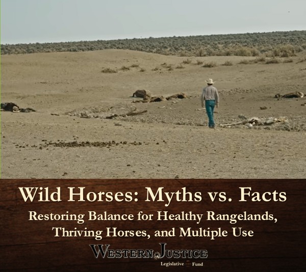 Wild Horses: Myths vs. Facts Restoring Balance for Healthy Rangelands, Thriving Horses, and Multiple Use