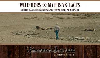 Wild Horses: Myths vs. Facts Restoring Balance for Healthy Rangelands, Thriving Horses, and Multiple Use