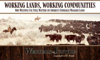 Working Lands, Working Communities: Why Multiple Use Still Matters on America’s Federally Managed Lands