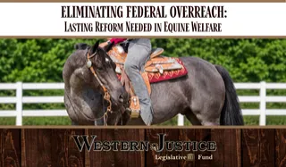 Eliminating Federal Overreach: Lasting Reform Needed in Equine Welfare 