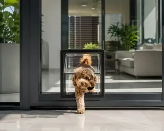 In-Glass Pet Doors: Is it Possible to Install Safely?