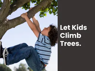 Let Kids Climb Trees