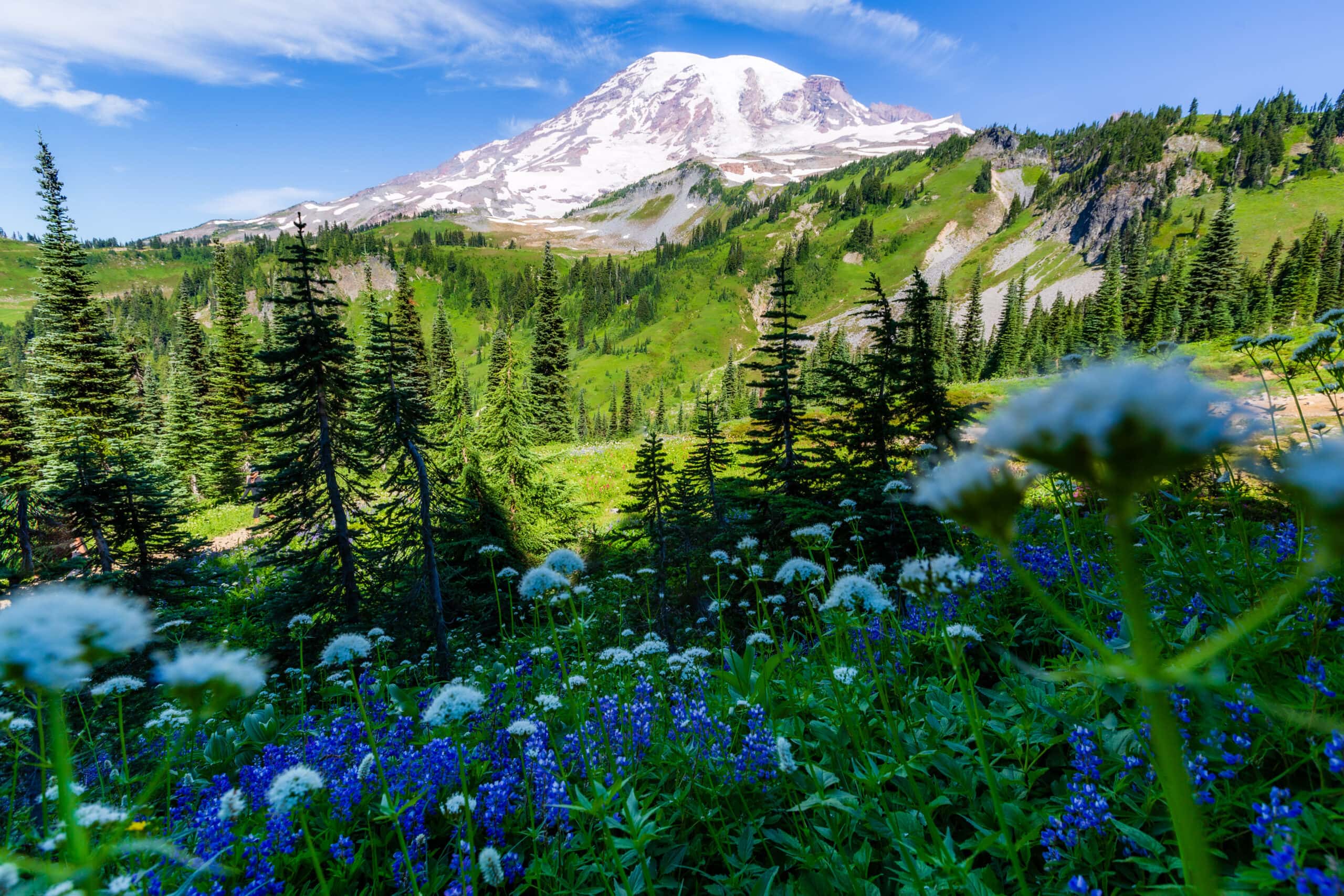 Hidden Gems Near Federal Way You’ll Need a Car to Visit – Federal Way, WA 🌲🚗