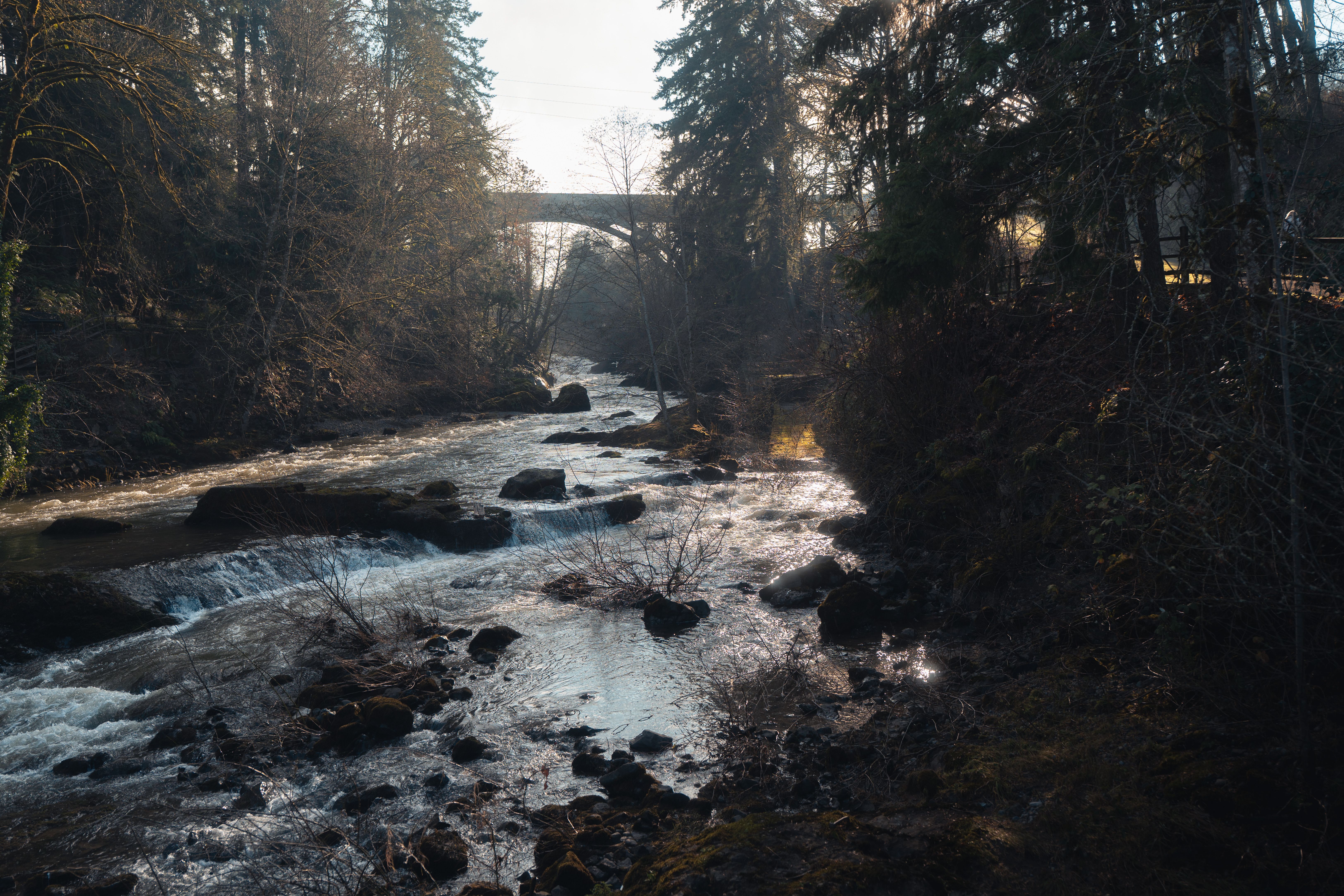 📸 Best Photo Spots Around Federal Way, WA Accessible by Car | Rain City Car Rentals, Federal Way, WA