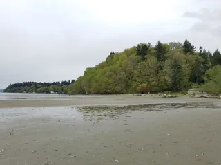 🌊 Escape to the Coast: Discover Dash Point State Park with Rain City Car Rentals in Federal Way, WA