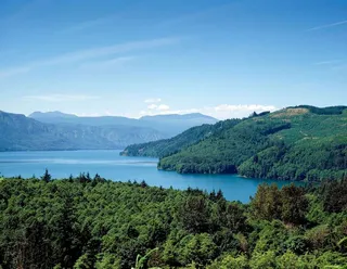 From Federal Way to Tacoma’s Waterfront: Your Guide to a Perfect South Sound Day Trip 🌊🚗