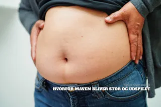 Hvorfor maven bliver stor og udspilet