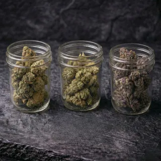 Understanding Cannabinoids: THC, CBD, and Beyond