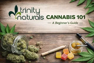 Cannabis 101: Beginner’s Guide in Chelsea, MA