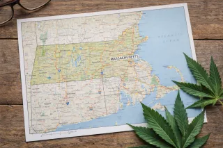 Navigate Massachusetts Cannabis Laws with Confidence