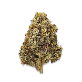 Velvet Glove Flower by Theory Wellness