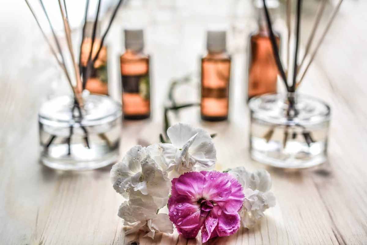 Key Differences Between Homeopathy and Naturopathy